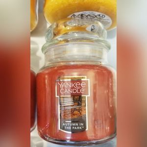 3/$42 medium jar candles - autumn in the park